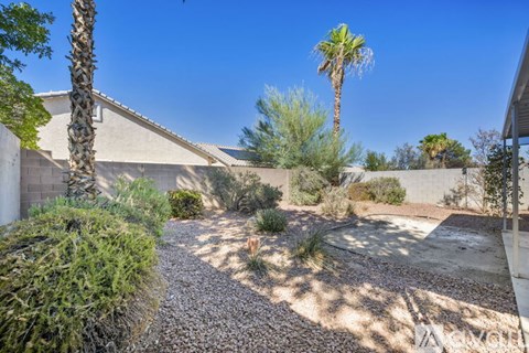 A desert landscape with a house, palm trees, and a gravel path.