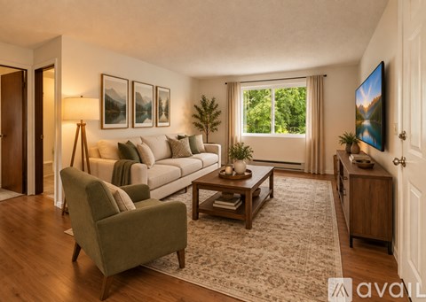 A living room with a couch, chair, and a rug.