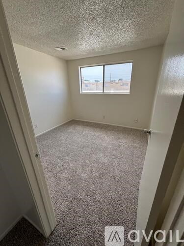 A carpeted room with a window and a door.