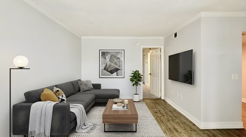 A living room with a grey couch and a coffee table.