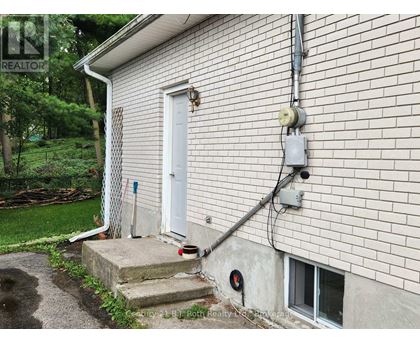LOWER - 687 VICTORIA STREET 1 House for Rent - Photo gallery 2