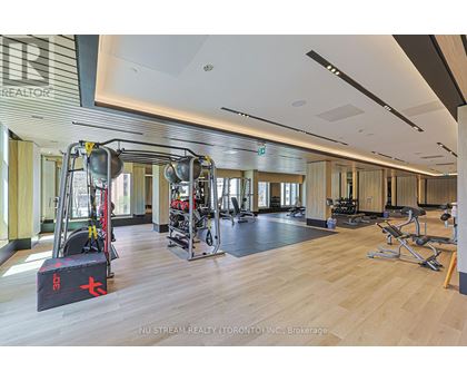 A gym with a variety of equipment including a squat rack, bench press, and a treadmill.