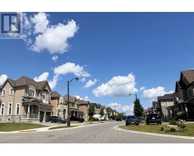 A street view of a residential area with houses and cars.