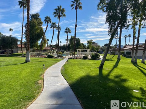 A pathway in a park with palm trees on either side.