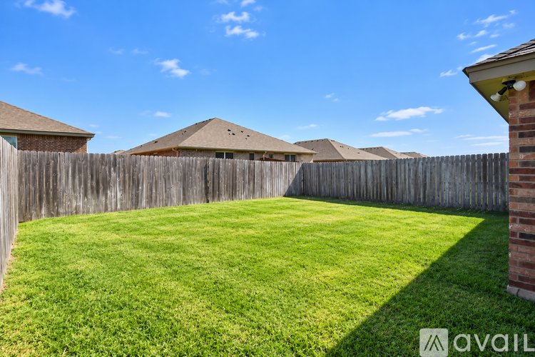 A backyard with a wooden fence and green grass.