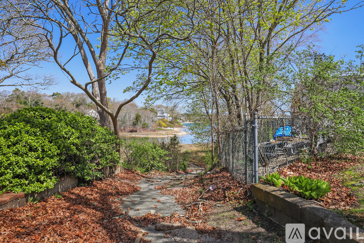 A garden with a path and trees in the foreground.