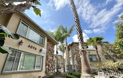 A building with the number 4046 on it is surrounded by palm trees.