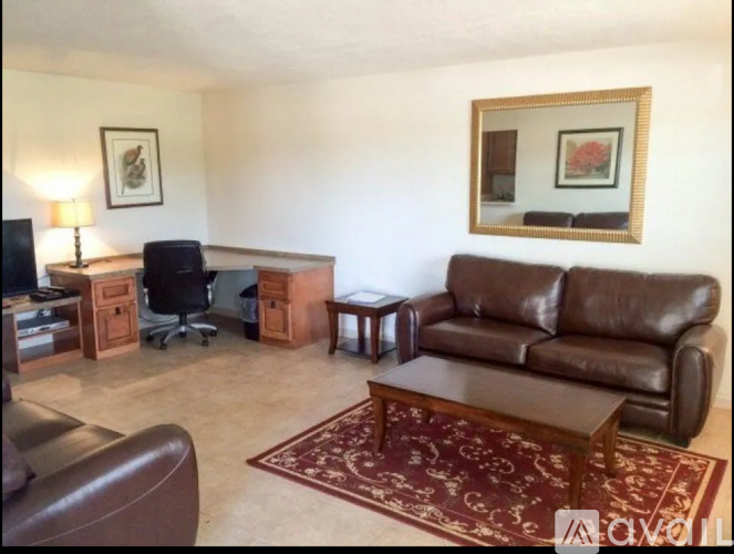 A living room with a brown leather couch and a red rug.