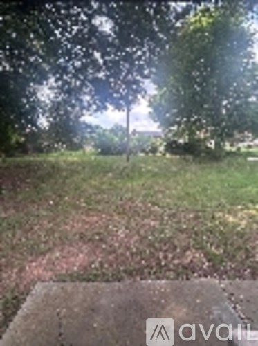 A grassy area with a pathway leading to a tree.