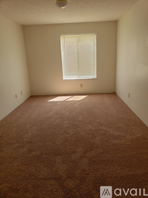 A room with a carpeted floor and a window with blinds.
