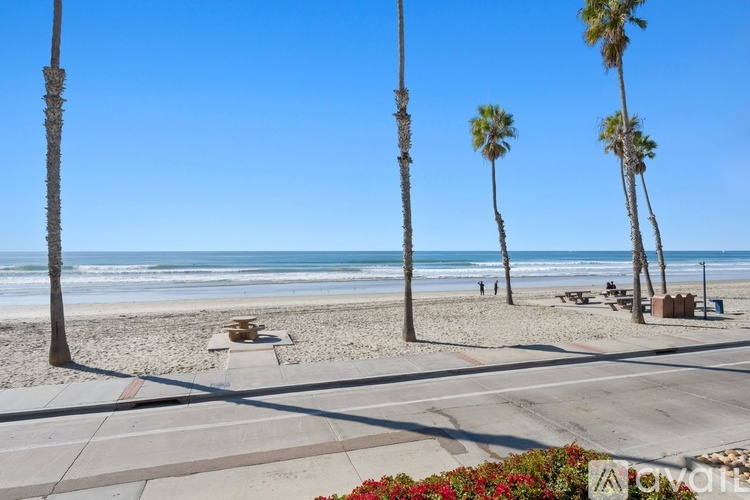 A beach scene with palm trees and a clear blue sky.