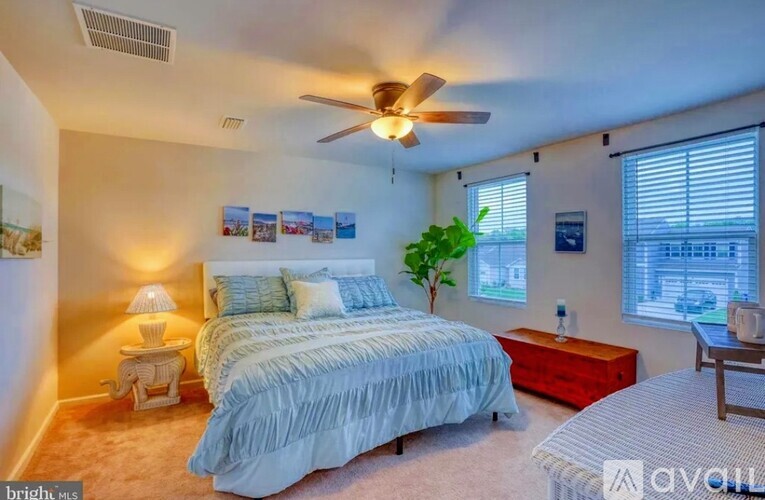 32092 Windjammer Drive 4 Beds Single Family Home for Rent - Photo gallery 5