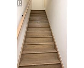 A set of wooden stairs leading upwards.
