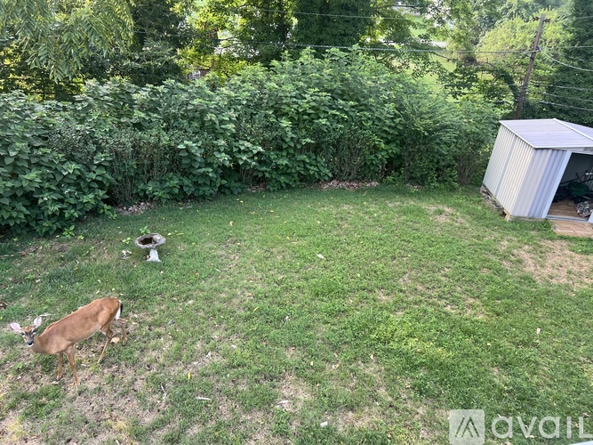 2719 Lofton Road Southwest 3 Beds Single Family Home for Rent - Photo gallery 3