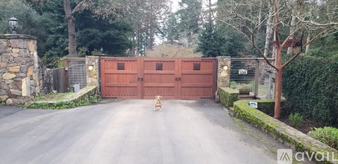 A dog is standing in front of a large red gate.