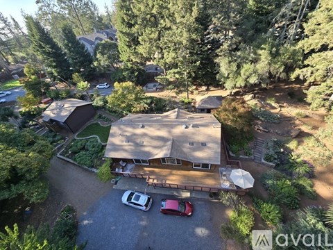 A house surrounded by trees with a car parked in front.