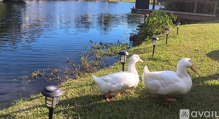 114 Redan Drive 1 Apartment for Rent - Photo gallery 3