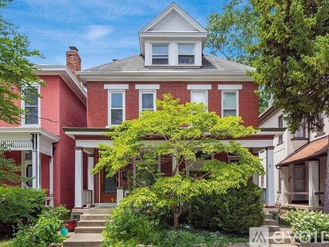 A red brick house with a white window and a tree in front.