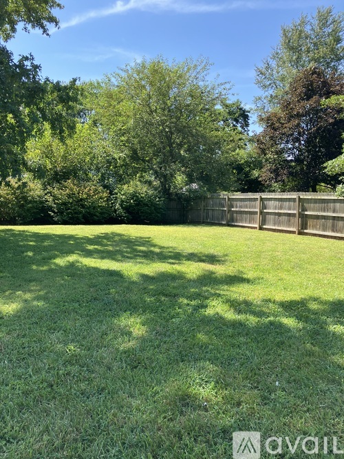 A backyard with a wooden fence and green grass.