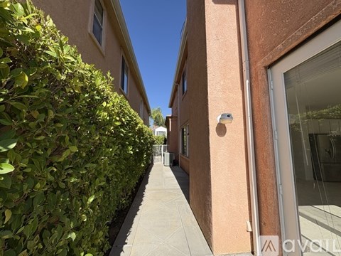 A narrow sidewalk runs between two buildings with a hedge on one side.