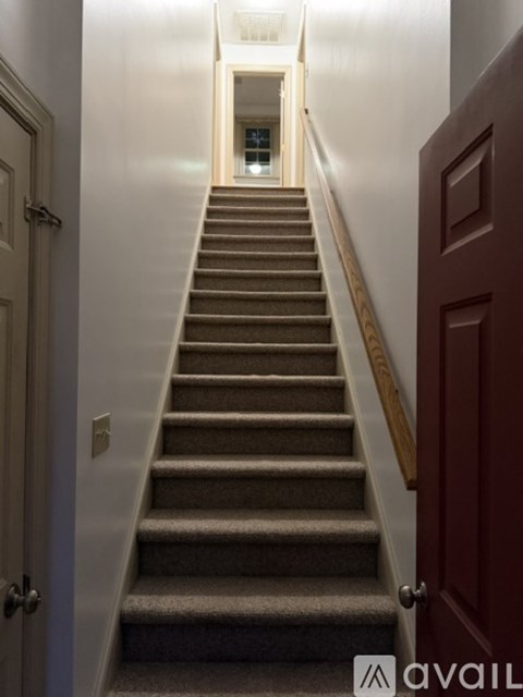 A staircase with a carpeted runner and wooden handrails.