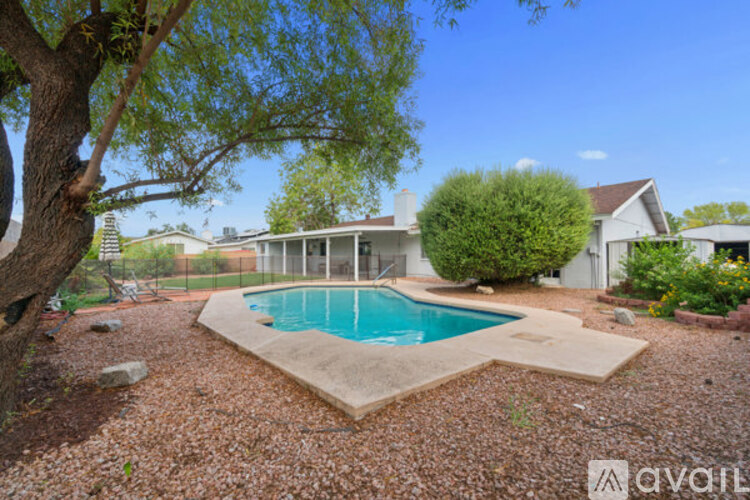 A backyard with a pool and a tree.