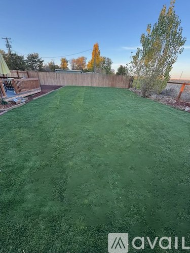A backyard with a green lawn and a wooden fence.