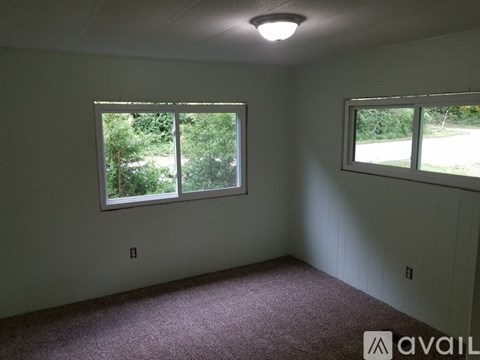 A room with two windows and a carpeted floor.