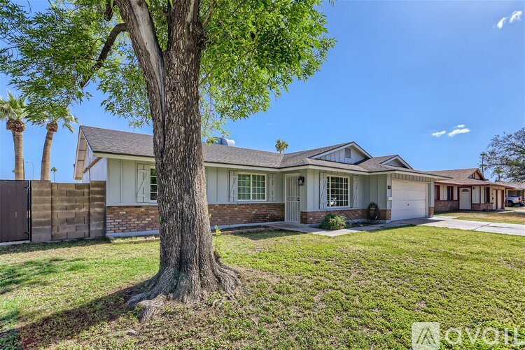 A large tree stands in front of a house with a fence and palm trees in the background.