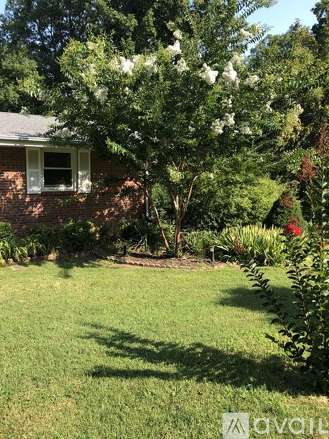 A tree with white flowers is in the front yard of a house.