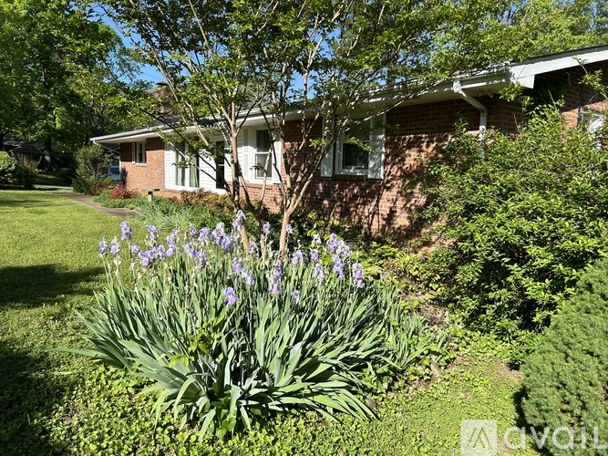 200 Grandview Drive 3 Beds Single Family Home for Rent - Photo gallery 3