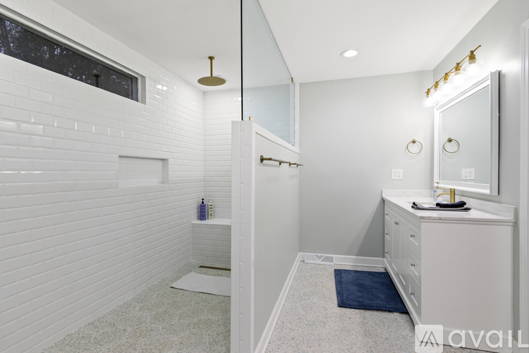 A bathroom with a white vanity and a walk-in shower.