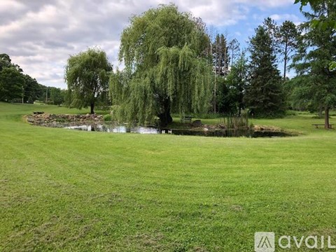 A weeping willow tree stands over a pond in a grassy field.