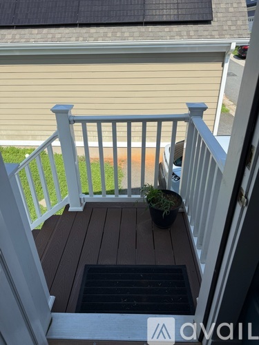 A small potted plant sits on a wooden deck.