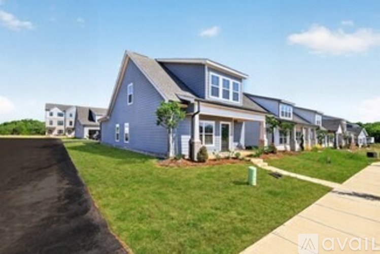 Palmetto Avenue 3 Beds Single Family Home for Rent - Photo gallery 2