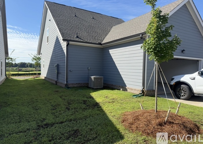 Palmetto Avenue 3 Beds Single Family Home for Rent - Photo gallery 4