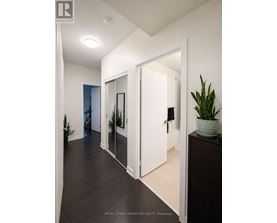 A hallway with a plant on a dresser and a mirror on the wall.
