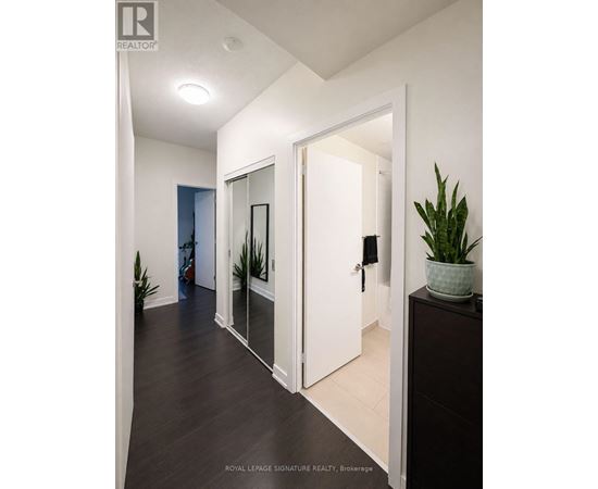 A hallway with a plant on a dresser and a mirror on the wall.