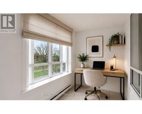 A well-lit home office with a laptop, chair, and plants.
