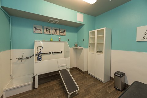 A gym room with a treadmill, weights, and a bench.