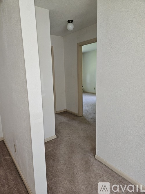 430 Spring Street 2 Beds Apartment for Rent - Photo gallery 4
