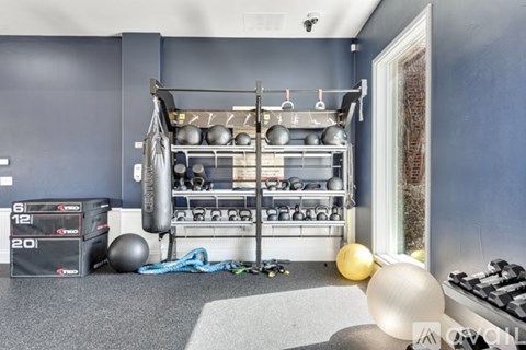 A gym room with a weight rack, exercise balls, and a weight bag.