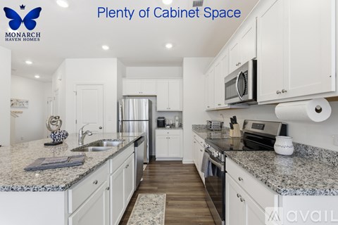 A kitchen with a caption that says "Plenty of Cabinet Space".