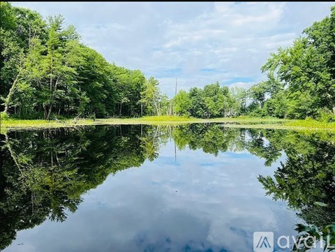 A serene lake surrounded by lush green trees under a clear blue sky.