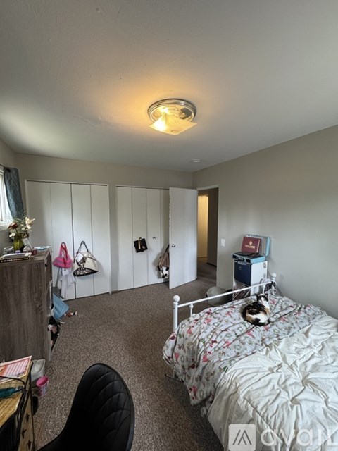 A cat is sitting on a bed in a bedroom.