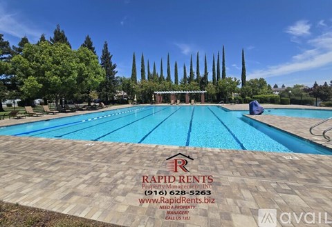 A Rapid Rents advertisement is displayed on the ground of a swimming pool.
