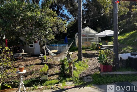 A backyard with a hammock and a small building.