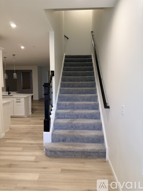 A staircase with a carpeted runner and wooden steps leads up to a second floor.