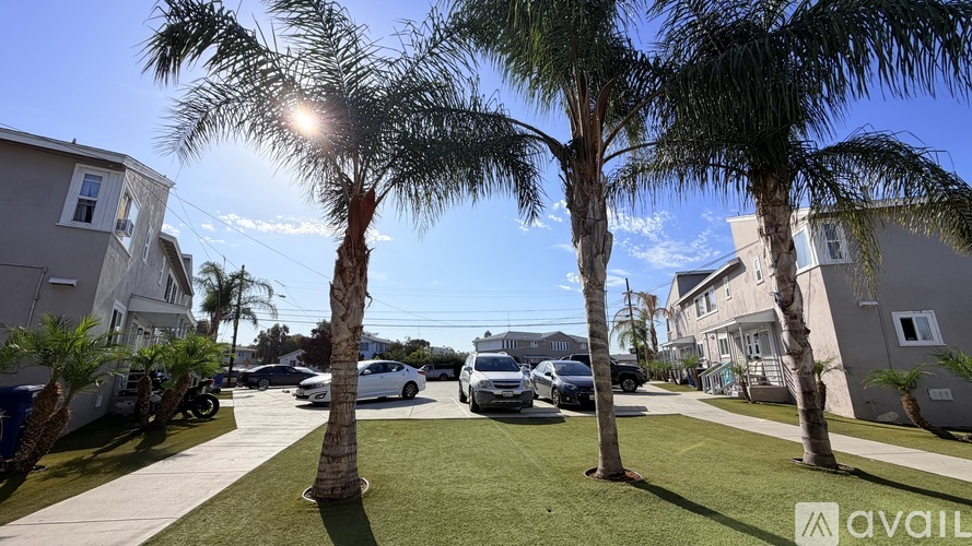 A sunny day in a residential area with palm trees and parked cars.