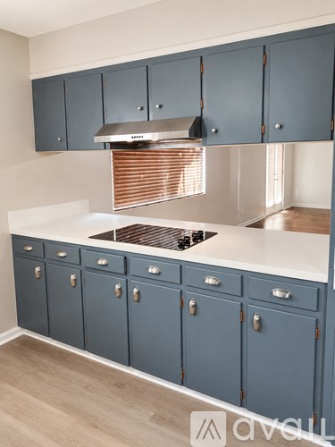 A kitchen with blue cabinets and a stove top oven.